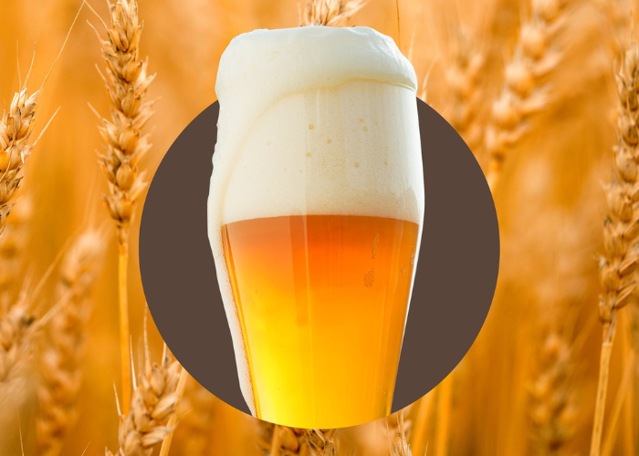 Nhập môn bia lúa mì