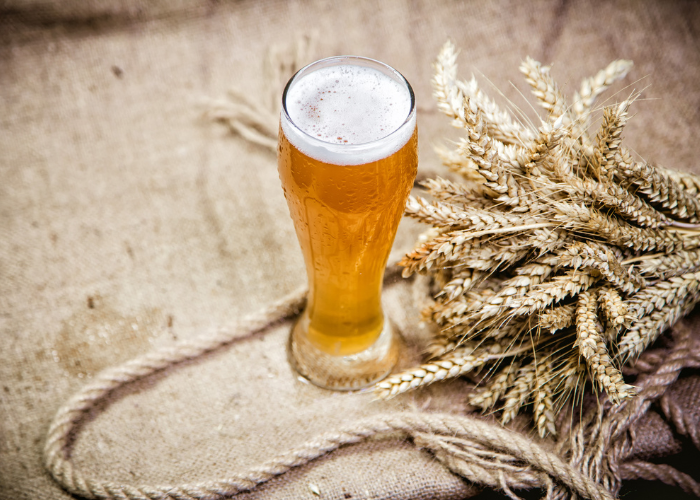 Nhập môn bia lúa mì