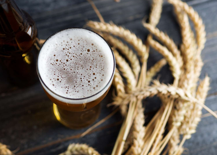 Nhập môn bia lúa mì