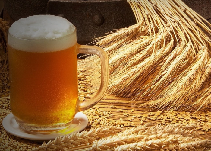 Nhập môn bia lúa mì