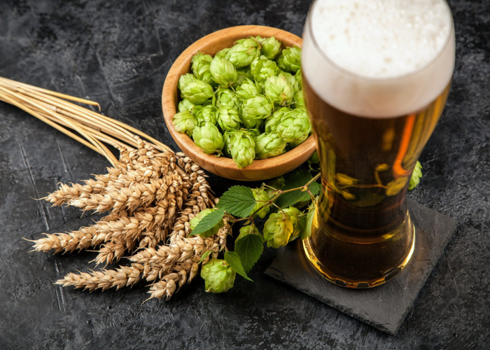 Bia thủ công dành cho người mới bắt đầu