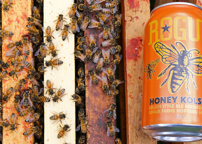 Bia thủ công với hương vị mật ong