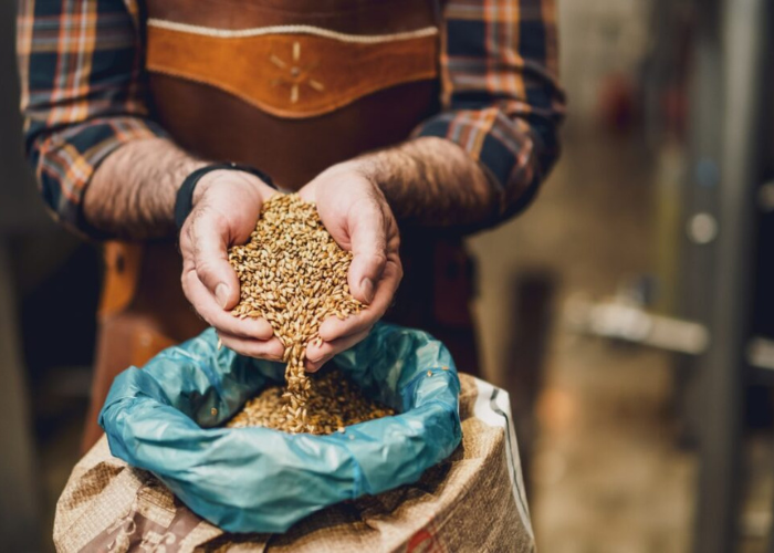 các loại men bia thủ công